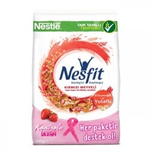 Nesfit Meyveli 400 Gr