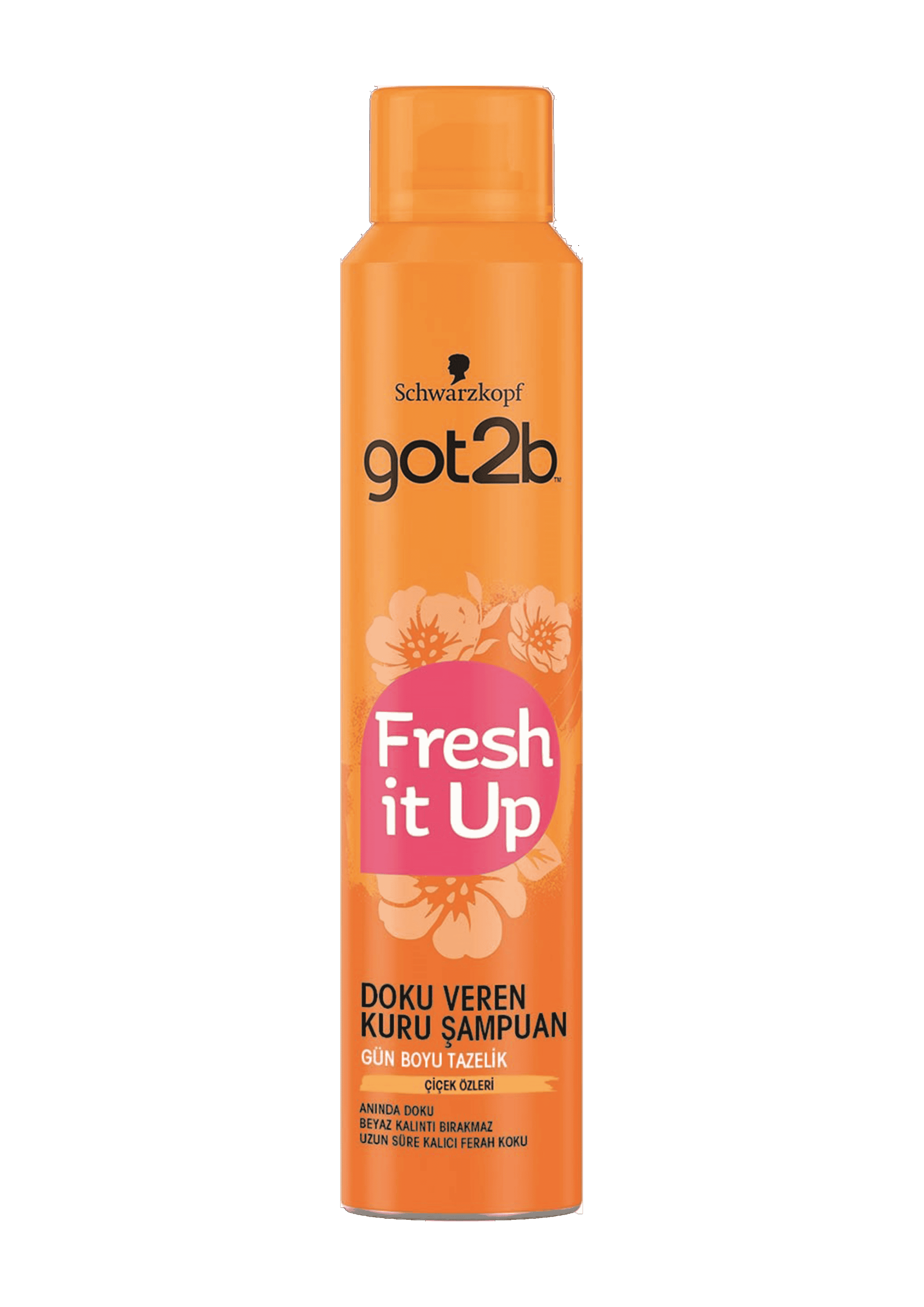 Got2Be Fresh It Up Texture-Giving Dry Shampoo 200 ml