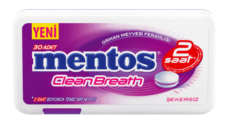 Mentos 2 Hours Clean Breath Plastic Dispenser Forest Fruit Candy 21 gr