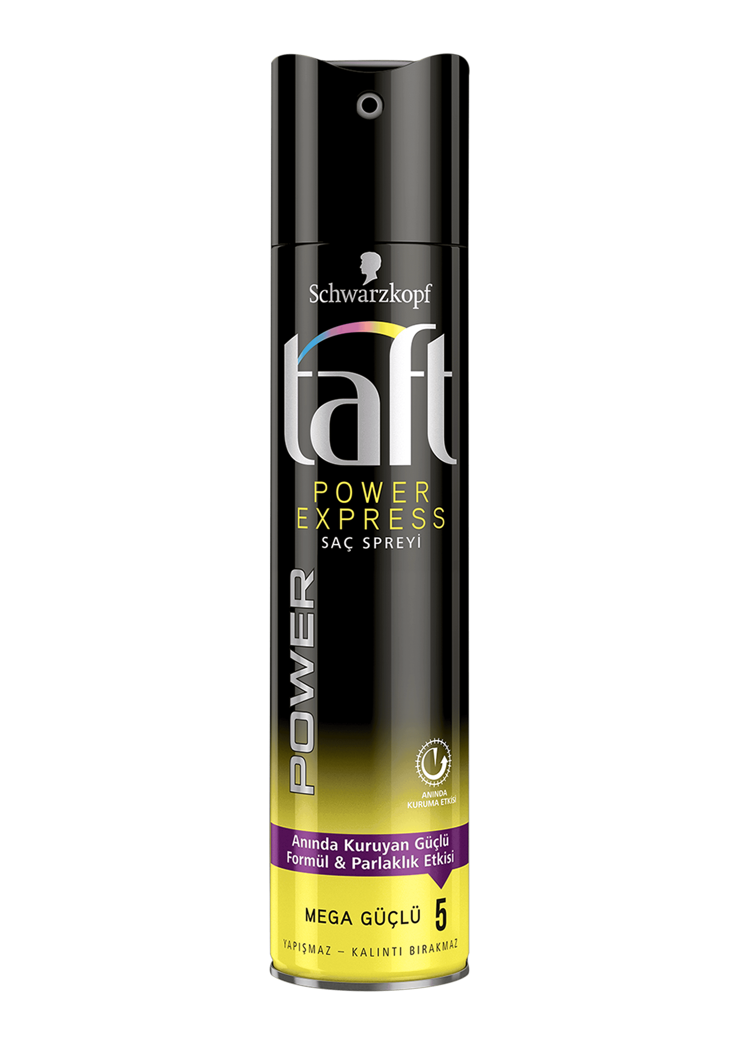 Taft Sprey Power Express 250 Ml